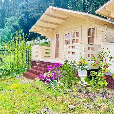 Vacation Home Apsar New Athos Εξωτερικό φωτογραφία