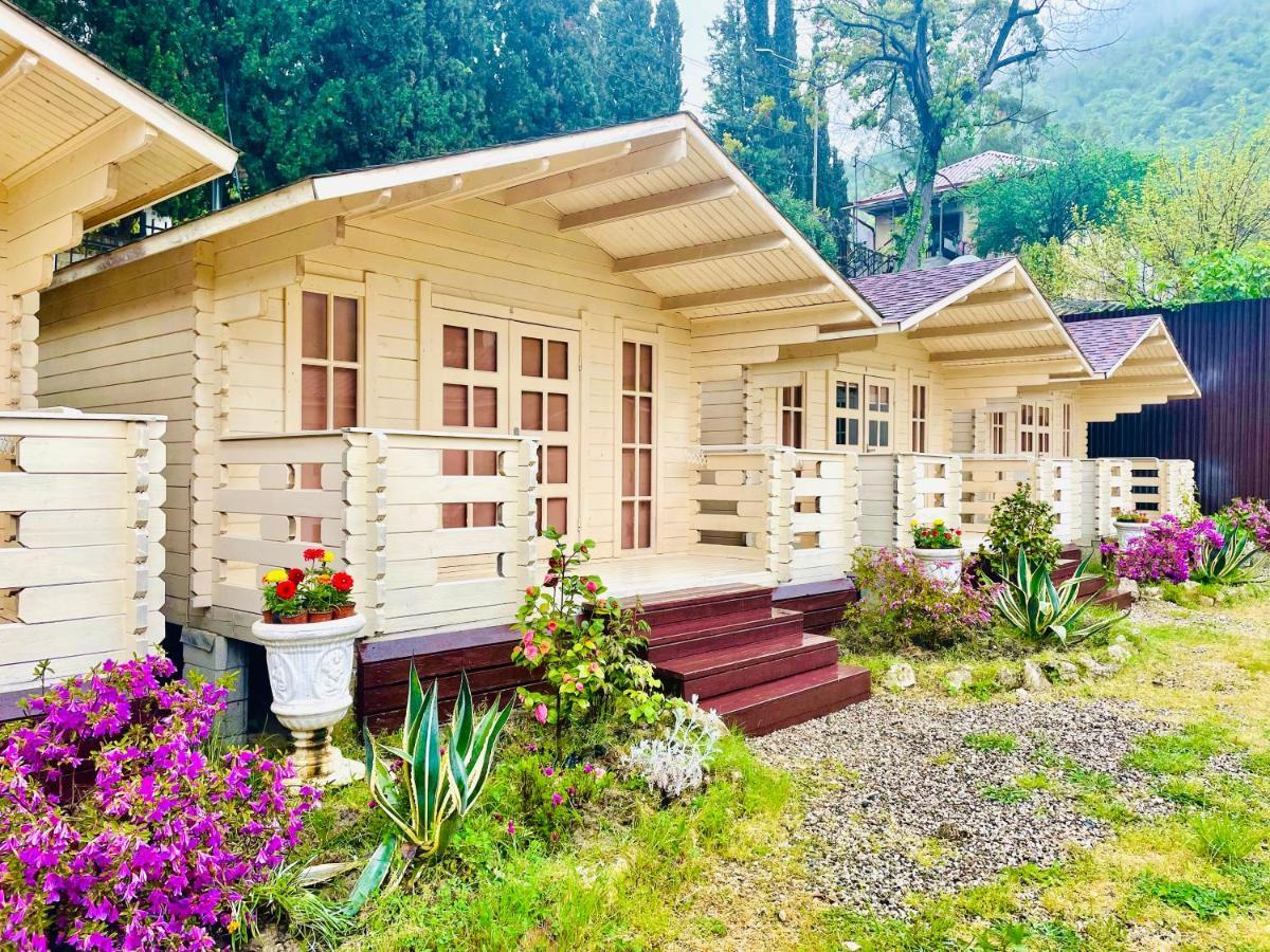Vacation Home Apsar New Athos Εξωτερικό φωτογραφία
